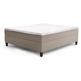 Beige 527