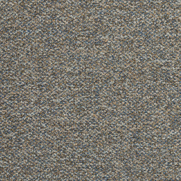 Mussels 397
