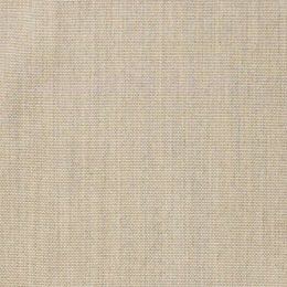 Natural Beige 301