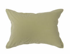 Gustav Ovland Saxon Örngott Salvia 50x60 cm