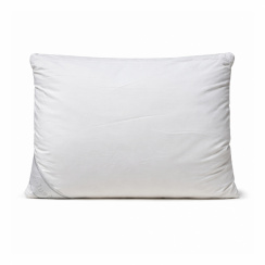 DreamSilk Silkeskudde 50x60 cm