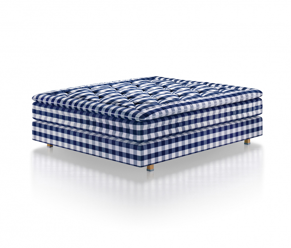 Hästens Eala Kontinentalseng