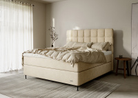 Ekens Elegans Kontinentalseng Ekens Elegans Kontinentalseng