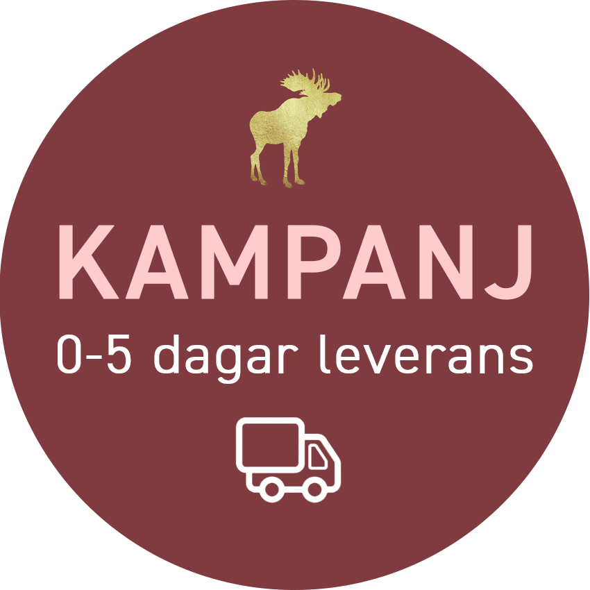 snabbleverans