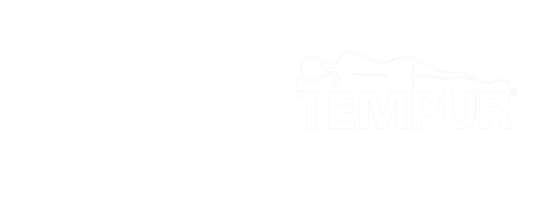 winga_tempur